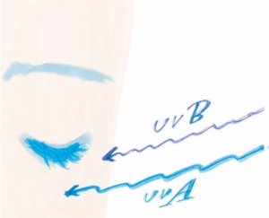 紫外線のA波とB波